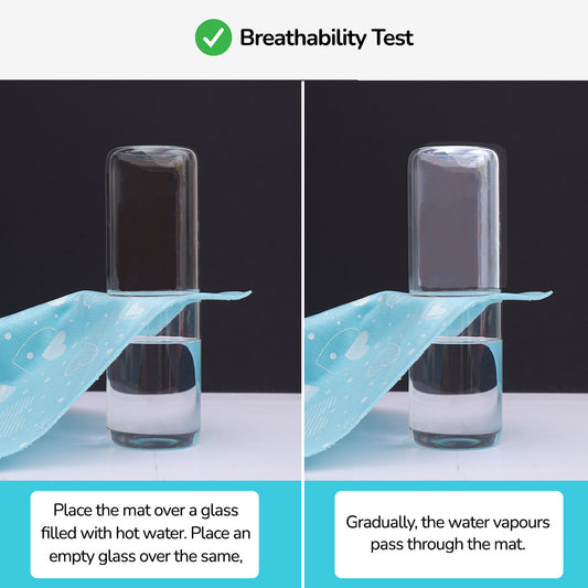 Diaper Changing Mat(Peppy Pink & Breezy Blue) - Pack of 2